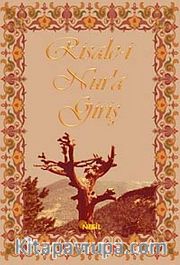 Risale-i Nura Giriş (Karton Kapak)
