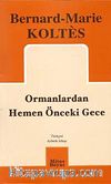 Ormanlardan Hemen Önceki Gece