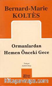 Ormanlardan Hemen Önceki Gece