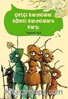Çiftçi Karıncalar Köleci Karıncalara Karşı