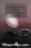 Üşümez mi Sandın Meşe Ağacı Soğukta