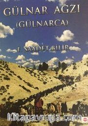 Gülnar Ağzı (Gülnarca)