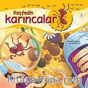 Keşfedin / Karıncalar