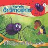 Keşfedin / Örümcekler
