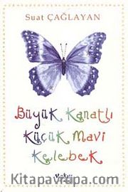 Büyük Kanatlı Küçük Mavi Kelebek