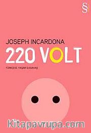 220 Volt