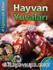 Eğlenceli Bilim - Hayvan Yuvaları