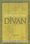 Divan Çelebizade Asım