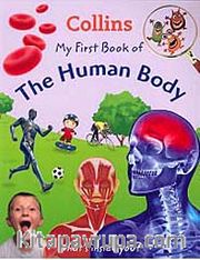 Collins My First Book of the Human Body