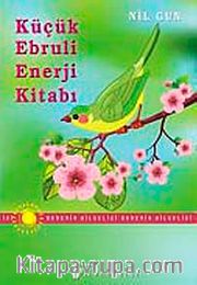 Küçük Ebruli Enerji Kitabı