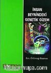 İnsan Beynindeki Genetik Gizem