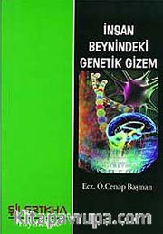 İnsan Beynindeki Genetik Gizem
