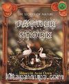 Father Stork