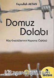 Domuz Dolabı <br /> Köy Enstitülerinin Kapanış Öyküsü