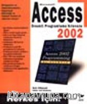Microsoft Access Örnekli Programlama Kılavuzu 2002