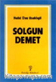 Solgun Demet