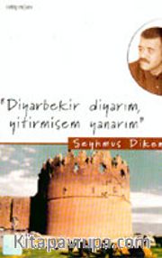 Diyarbekir Diyarım, Yitirmişem Yanarım