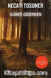Güneş Giderken