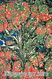 İsimsiz / Tüzin Tiryaki (TTU 012-30x45) (Çerçevesiz)