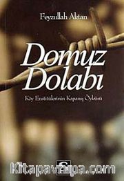 Domuz Dolabı <br /> Köy Enstitülerinin Kapanış Öyküsü