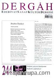 Dergah Edebiyat Sanat Kültür Dergisi Sayı:244 Haziran 2010