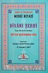 Divanı Şerhi