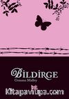 Bildirge