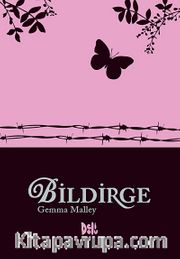 Bildirge