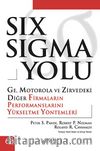 Six Sigma Yolu
