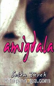 Amigdala