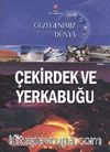 Gezegenimiz Dünya - Çekirdek ve Yerkabuğu