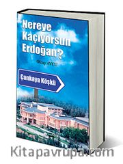 Nereye Kaçıyorsun Erdoğan?