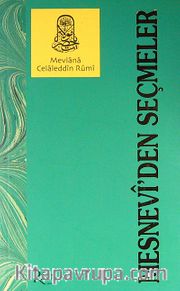 Mesnevi'den Seçmeler (1. hamur)