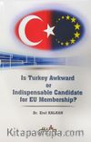 Is Turkey Awkward or Indispensable Candidate for EU Membership?