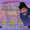 Garip Bir Kolleksiyoncu (VCD)