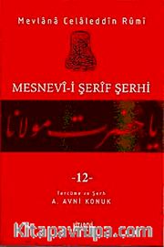 Mesnevi-i Şerif Şerhi 12