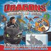 Dreamworks Dragons: Riders Of Berk Kur ve Oyna