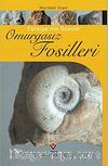 Türkiye'nin Önemli Omurgasız Fosilleri