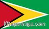 Guyana Bayrağı (20x30)
