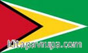 Guyana Bayrağı (20x30)