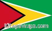 Guyana Bayrağı (70x105)