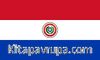 Paraguay Bayrağı (20x30)