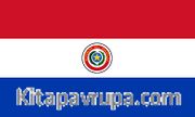 Paraguay Bayrağı (20x30)