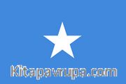 Somali Bayrağı (70x105)