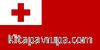 Tonga Bayrağı (70x105)