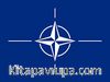 Nato Bayrağı (20x30)