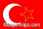 Kosova Türkleri (Sırbistan) Bayrağı (70x105)