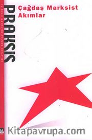 Praksis Üç Aylık Sosyal Bilimler Dergisi / Sayı:13