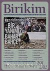 Birikim / Sayı:291-292 Yıl: 2013 / Aylık Sosyalist Kültür Dergisi (Temmuz-Ağustos)
