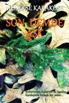Son Demde Aşk 